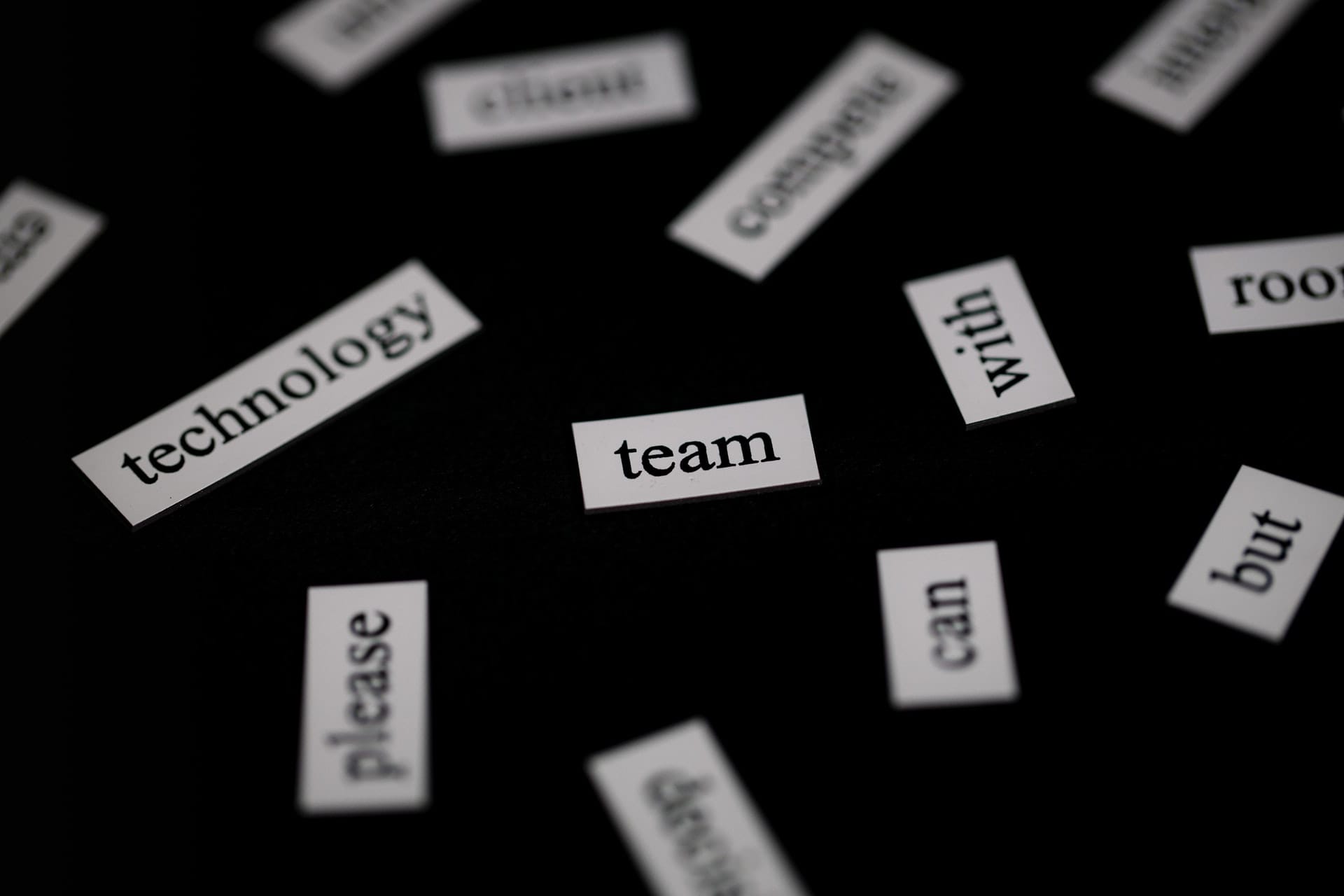 Pieces of paper, each with a random word on it